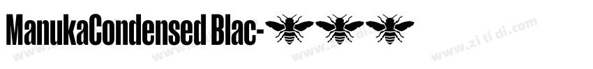 ManukaCondensed Blac字体转换